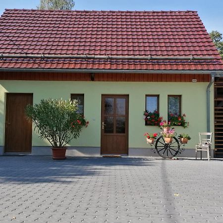 Schaffrath'S - Ferienhaus 혼슈타인 외부 사진